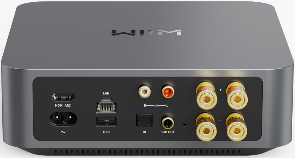 Wiim Amp